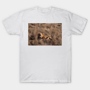 Lions Roar T-Shirt